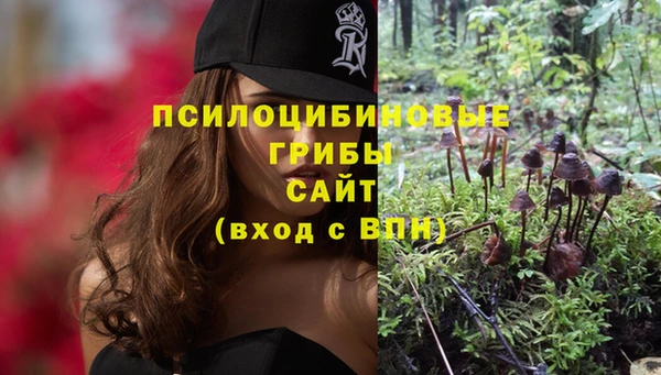 амфетамин Алексеевка