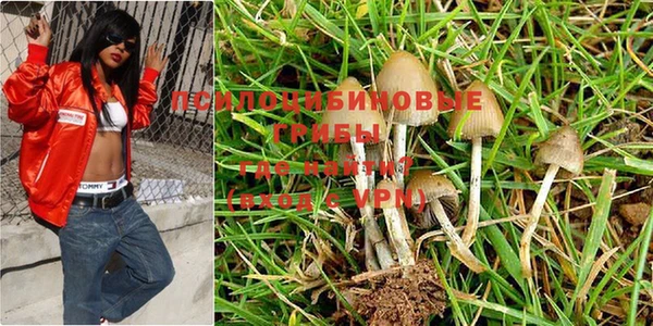 ешки Алзамай