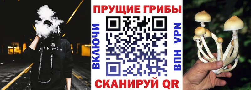 Псилоцибиновые грибы MAGIC MUSHROOMS Исилькуль